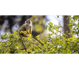 Fotografujeme zvířata - zoo Praha